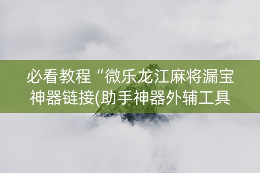 必看教程“微乐龙江麻将漏宝神器链接(助手神器外辅工具)