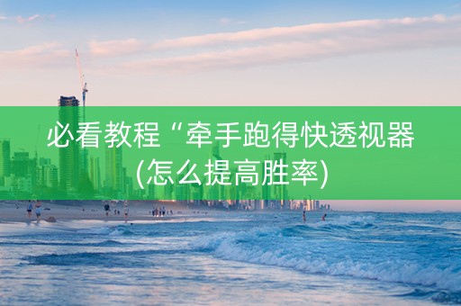 必看教程“牵手跑得快透视器(怎么提高胜率)