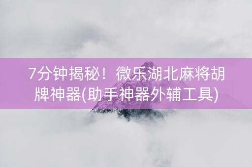 7分钟揭秘！微乐湖北麻将胡牌神器(助手神器外辅工具)