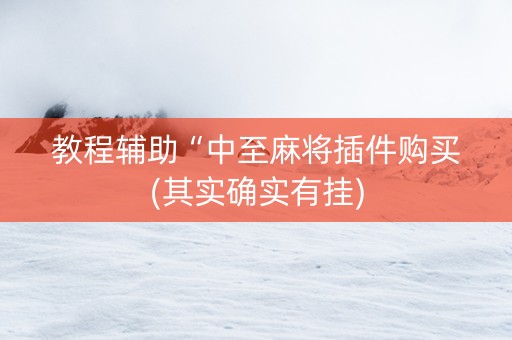 教程辅助“中至麻将插件购买(其实确实有挂)