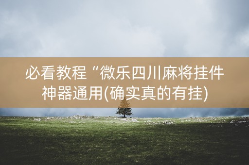 必看教程“微乐四川麻将挂件神器通用(确实真的有挂)
