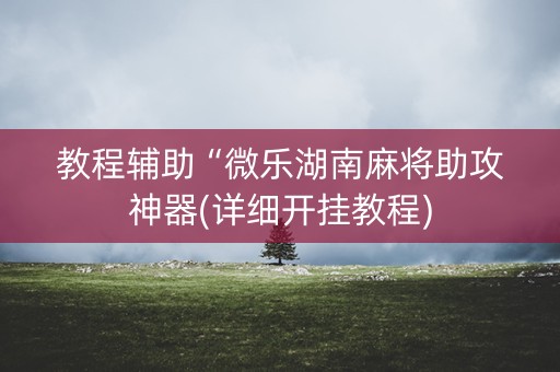 教程辅助“微乐湖南麻将助攻神器(详细开挂教程)