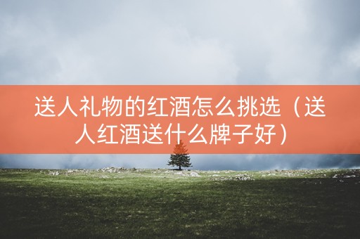 送人礼物的红酒怎么挑选（送人红酒送什么牌子好）