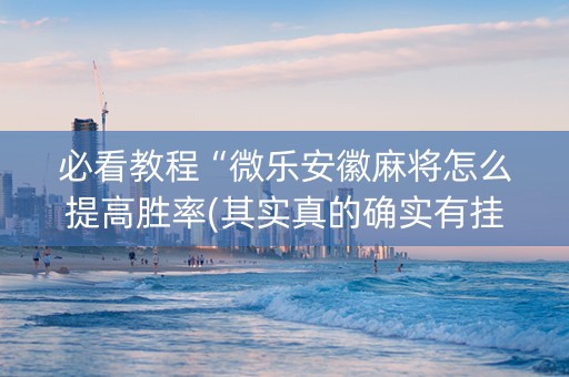必看教程“微乐安徽麻将怎么提高胜率(其实真的确实有挂)