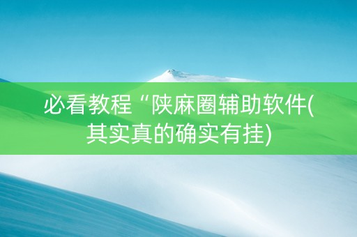 必看教程“陕麻圈辅助软件(其实真的确实有挂)