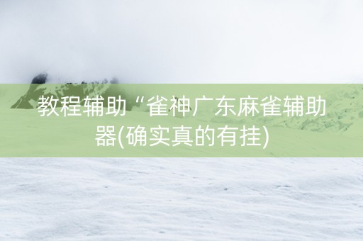 教程辅助“雀神广东麻雀辅助器(确实真的有挂)