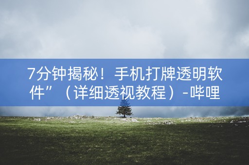 7分钟揭秘！手机打牌透明软件”（详细透视教程）-哔哩哔哩