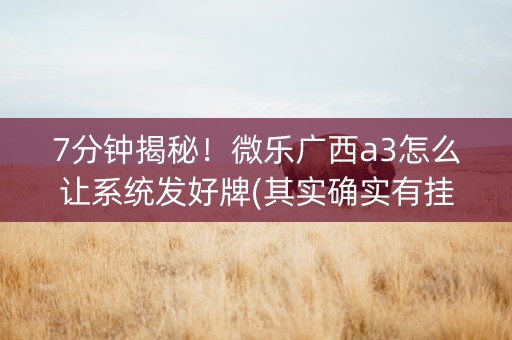 7分钟揭秘！微乐广西a3怎么让系统发好牌(其实确实有挂)