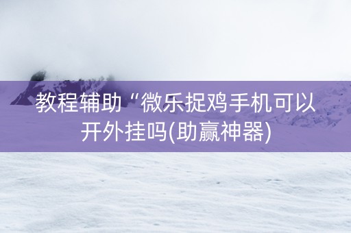 教程辅助“微乐捉鸡手机可以开外挂吗(助赢神器)