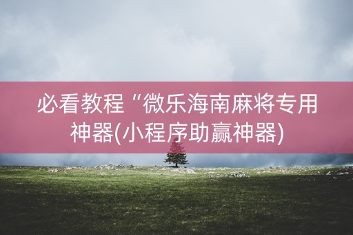 必看教程“微乐海南麻将专用神器(小程序助赢神器)