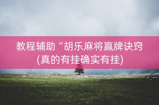 教程辅助“胡乐麻将赢牌诀窍(真的有挂确实有挂)