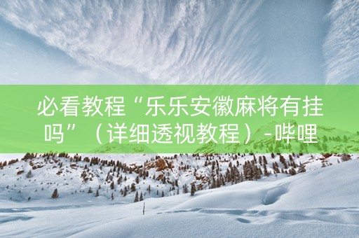 必看教程“乐乐安徽麻将有挂吗”（详细透视教程）-哔哩哔哩