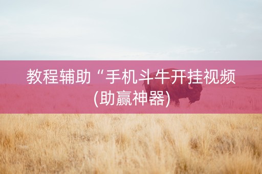 教程辅助“手机斗牛开挂视频(助赢神器)