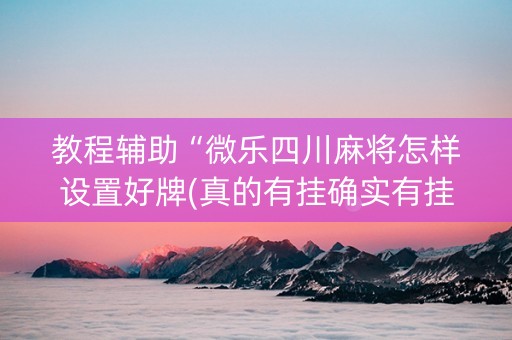 教程辅助“微乐四川麻将怎样设置好牌(真的有挂确实有挂)