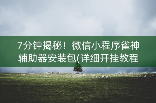 7分钟揭秘！微信小程序雀神辅助器安装包(详细开挂教程)