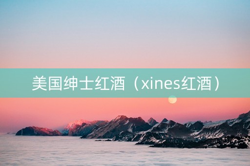 美国绅士红酒（xines红酒）