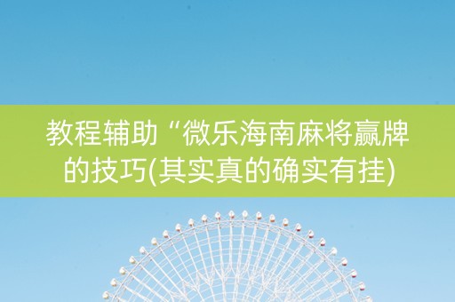 教程辅助“微乐海南麻将赢牌的技巧(其实真的确实有挂)