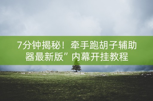 7分钟揭秘！牵手跑胡子辅助器最新版”内幕开挂教程