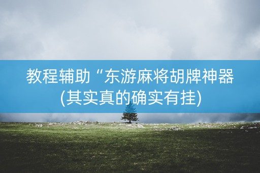 教程辅助“东游麻将胡牌神器(其实真的确实有挂)