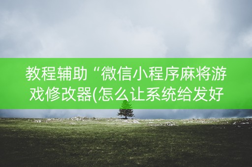 教程辅助“微信小程序麻将游戏修改器(怎么让系统给发好牌)