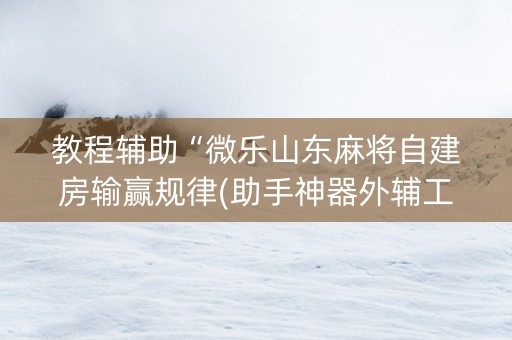 教程辅助“微乐山东麻将自建房输赢规律(助手神器外辅工具)
