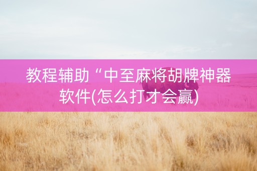 教程辅助“中至麻将胡牌神器软件(怎么打才会赢)