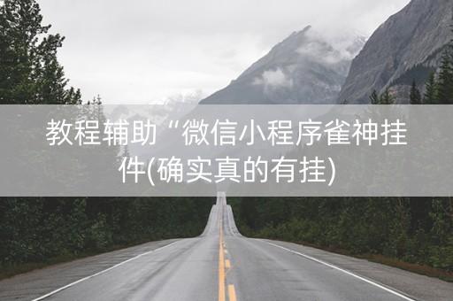 教程辅助“微信小程序雀神挂件(确实真的有挂)