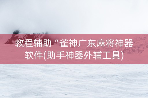 教程辅助“雀神广东麻将神器软件(助手神器外辅工具)
