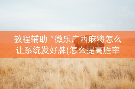 教程辅助“微乐广西麻将怎么让系统发好牌(怎么提高胜率)