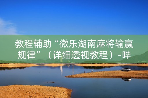 教程辅助“微乐湖南麻将输赢规律”（详细透视教程）-哔哩哔哩