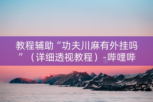 教程辅助“功夫川麻有外挂吗”（详细透视教程）-哔哩哔哩