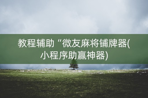 教程辅助“微友麻将铺牌器(小程序助赢神器)