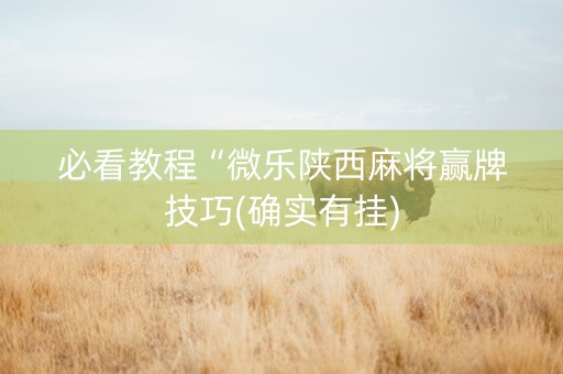 必看教程“微乐陕西麻将赢牌技巧(确实有挂)