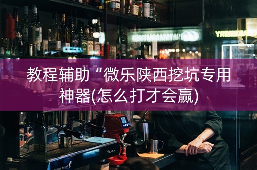 教程辅助“微乐陕西挖坑专用神器(怎么打才会赢)