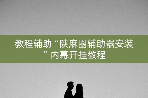 教程辅助“陕麻圈辅助器安装”内幕开挂教程