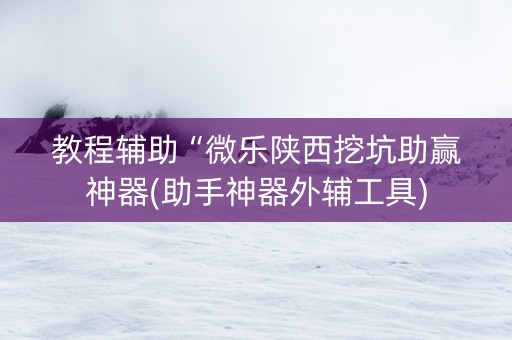 教程辅助“微乐陕西挖坑助赢神器(助手神器外辅工具)