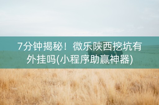 7分钟揭秘！微乐陕西挖坑有外挂吗(小程序助赢神器)