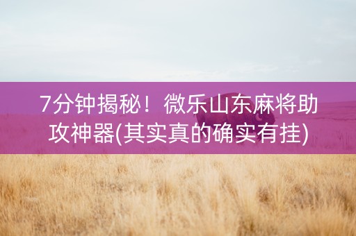 7分钟揭秘！微乐山东麻将助攻神器(其实真的确实有挂)