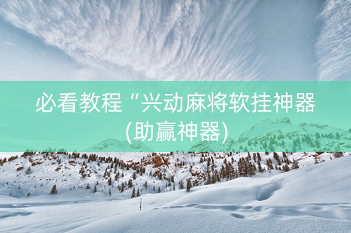 必看教程“兴动麻将软挂神器(助赢神器)