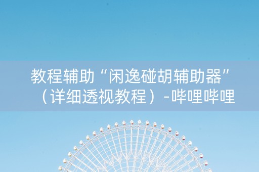 教程辅助“闲逸碰胡辅助器”（详细透视教程）-哔哩哔哩