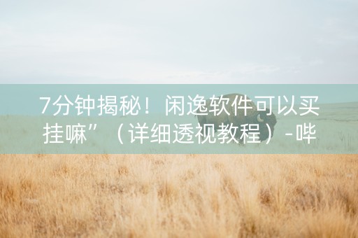 7分钟揭秘！闲逸软件可以买挂嘛”（详细透视教程）-哔哩哔哩