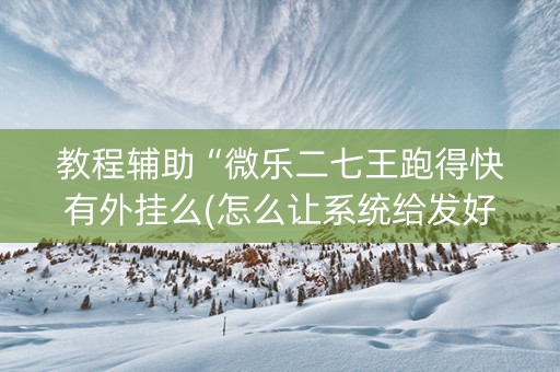 教程辅助“微乐二七王跑得快有外挂么(怎么让系统给发好牌)