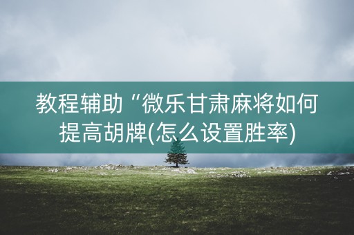 教程辅助“微乐甘肃麻将如何提高胡牌(怎么设置胜率)