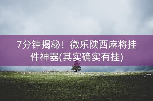 7分钟揭秘！微乐陕西麻将挂件神器(其实确实有挂)