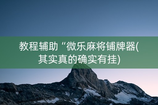 教程辅助“微乐麻将铺牌器(其实真的确实有挂)