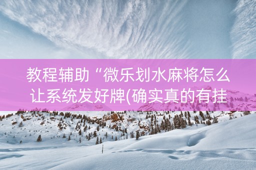 教程辅助“微乐划水麻将怎么让系统发好牌(确实真的有挂)
