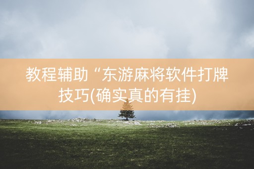 教程辅助“东游麻将软件打牌技巧(确实真的有挂)