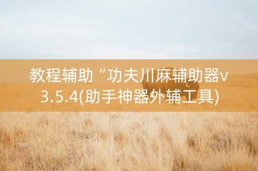 教程辅助“功夫川麻辅助器v3.5.4(助手神器外辅工具)