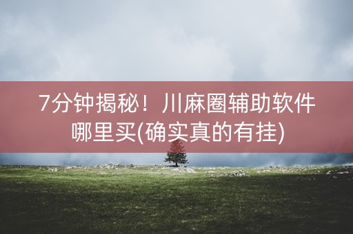 7分钟揭秘！川麻圈辅助软件哪里买(确实真的有挂)