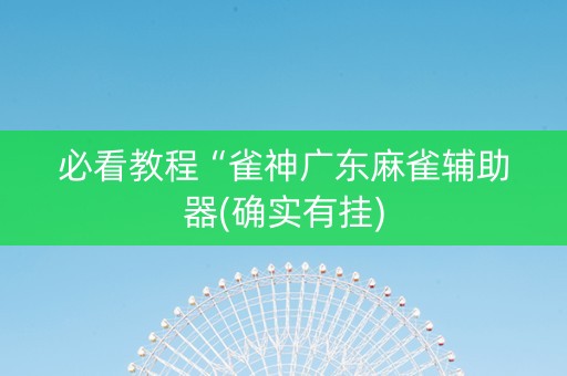 必看教程“雀神广东麻雀辅助器(确实有挂)
